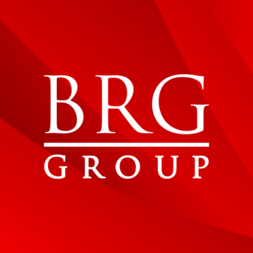 HR BRG GROUP  Icon