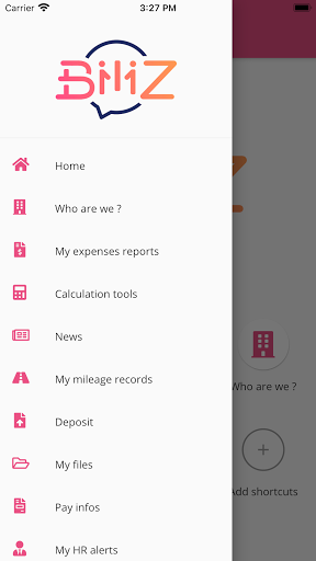 Biliz Screen 2