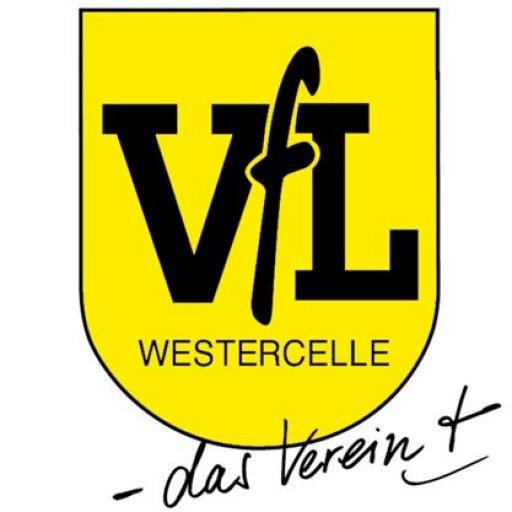 vflfussball logo