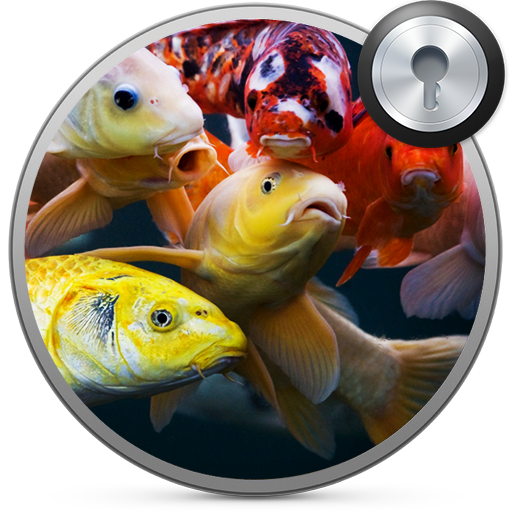 Koi Fish Lock Screen  Icon
