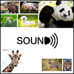 Animals sounds names and pictures without internet Apk