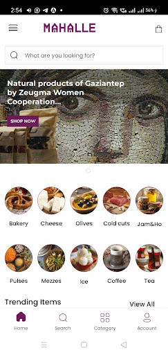 Android application Mahalle screenshort