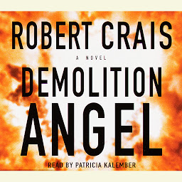 Icon image Demolition Angel: A Novel
