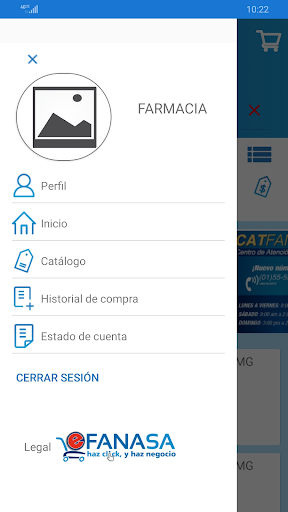 Carrito eFanasa Screen 2