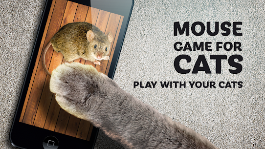 Mouse game toy for cats 3