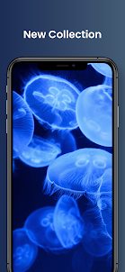 Cool Jellyfishes 3D Wallpapers