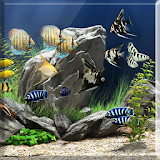 Lucky Aquarium Live Wallpaper icon