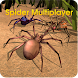 Spider World Multiplayer