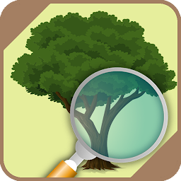 Icon image Identifier trees and plants