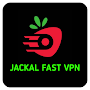 JACKAL FAST VPN APK icon