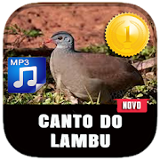 Canto De Lambu Novo