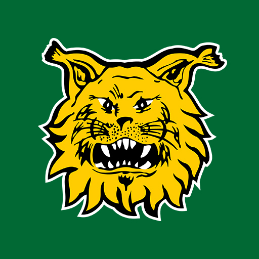 Tampereen Ilves  Icon