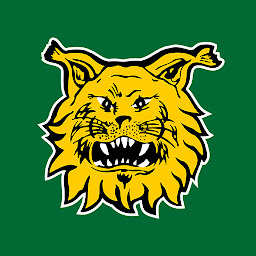 Icon image Tampereen Ilves