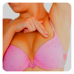 Icon image Breast Cancer Guide