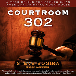 Icon image Courtroom 302: A Year Behind the Scenes in an American Criminal Courthouse