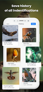Bird ID - Picture Identifier