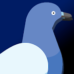 Pigeon Attack