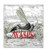 WASPS icon