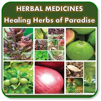 Harbal Medicine  Healing Herbs of Paradise