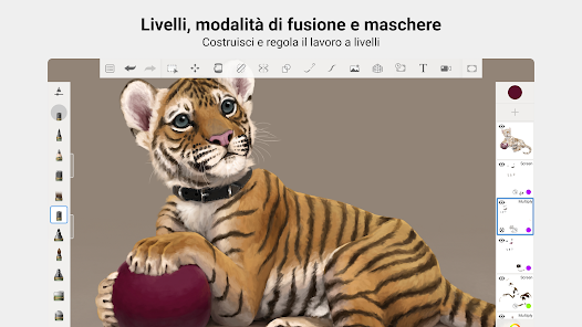 Immagine screenshot