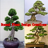 Bonsai Plant Design Creations icon