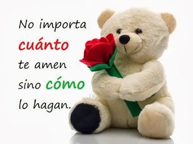 Osos de peluche sales con frases