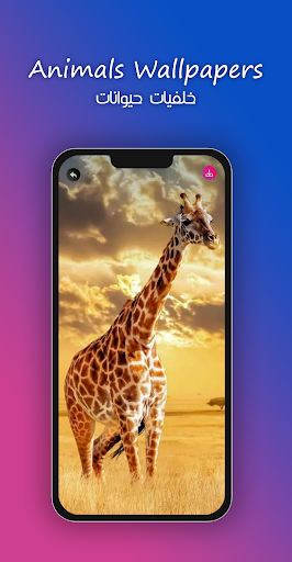 8k Animals Wallpapers Screen 2