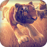 Wild Tiger Simulator Game Free icon
