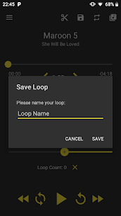 Loop Player Mod Apk (Pro Features Unlocked) 3