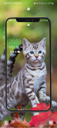 Cute Kitten Wallpapers Offline Screen 2
