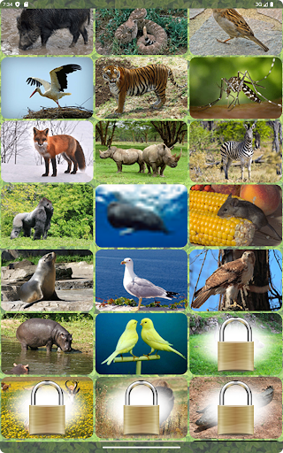 ZOO sounds quiz screenshot 18