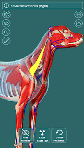 Visual Canine Anatomy 3D – lea Mod Apk 1