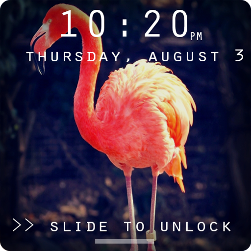 Flamingo Lock Screen logo