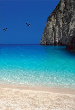 Beach Live Wallpaper Screen 2