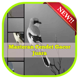 Masteran Cendet Gacor Juara icon