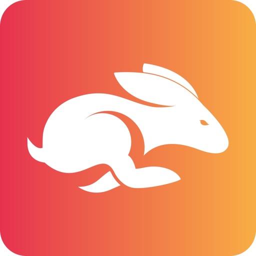Puck logo