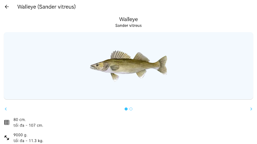 Ảnh chụp màn hình