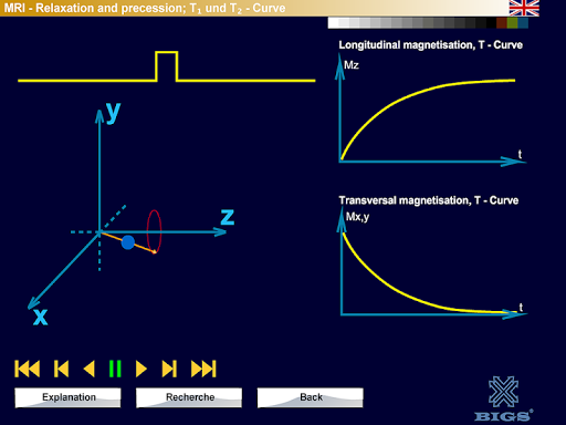 Physics of Magnetic Resonance
