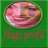 flag profil 2016 icon