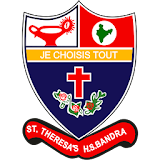 St. Theresa's Boys High School icon