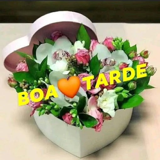 Buenos Días Tardes Noches GIF Screen 3