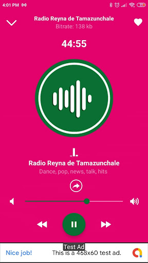 radio reyna de tamazunchale MX Screen 2