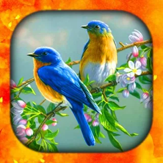 Birds Wallpaper Live 3D/HD/4K apk