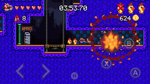 Ammo Pigs Cocked and Loaded