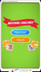 Matching Challenge