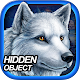 Hidden Object Games 200 Levels : Vampire Museum