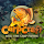 Carpcraft: Carp Fishing