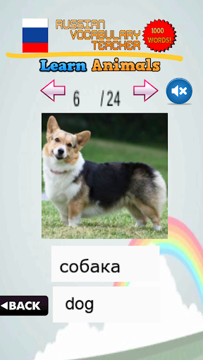 Learn Russian Vocabulary