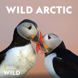 Icon image Wild Arctic
