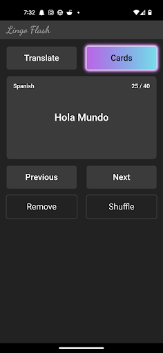 Lingo Flash Screen 3